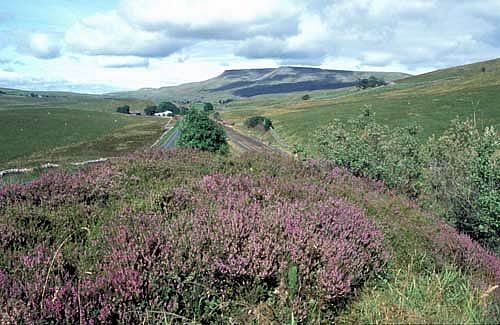 Farm images